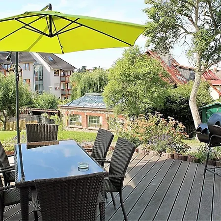 Modern Holiday In Forest In